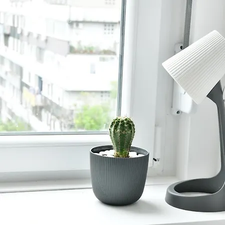 Vanilla Apartman Belgrád